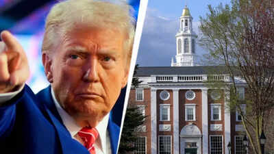 harvard university trump