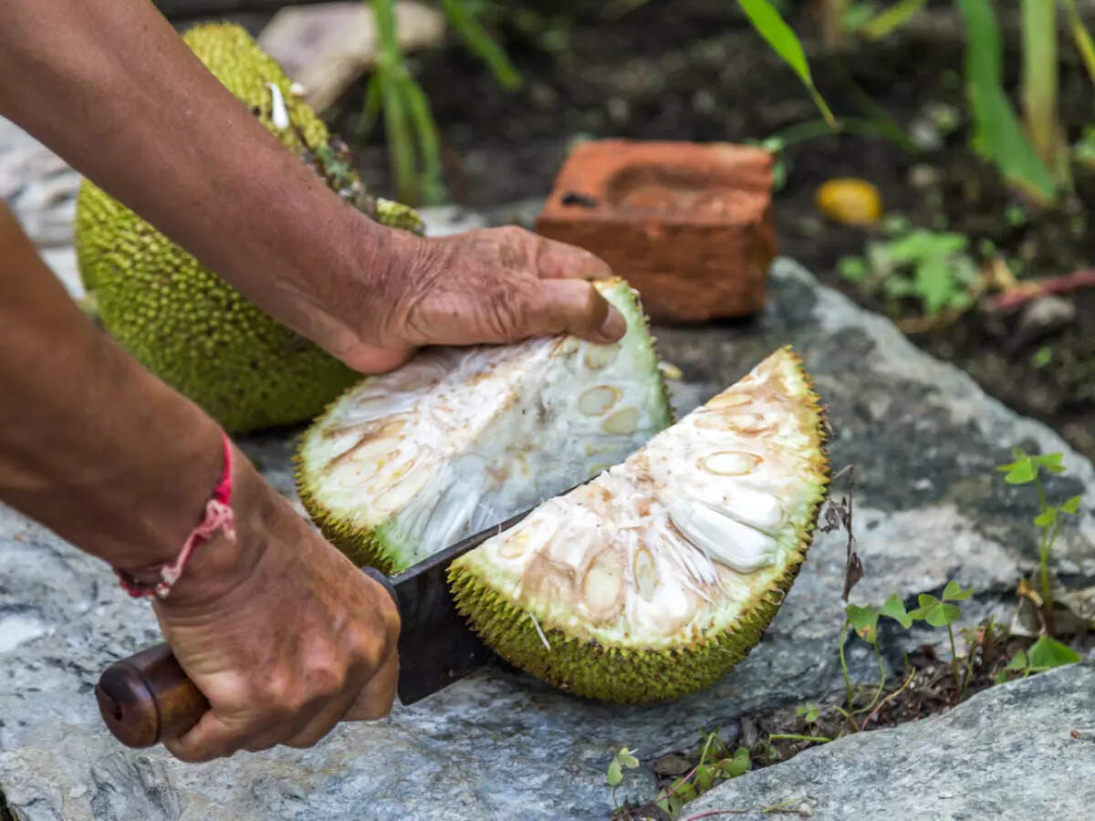 msid 120497266imgsize 82538.cms