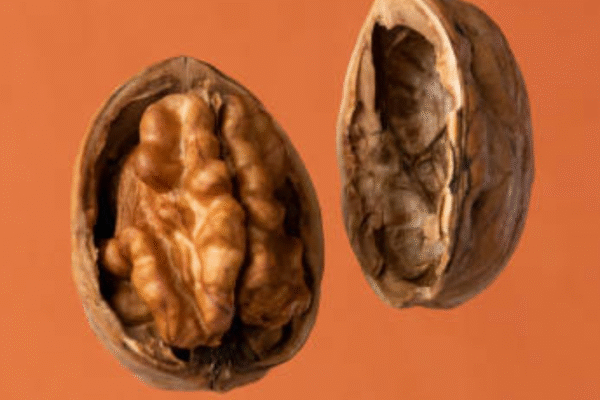 msid 120638163imgsize 322823.cms