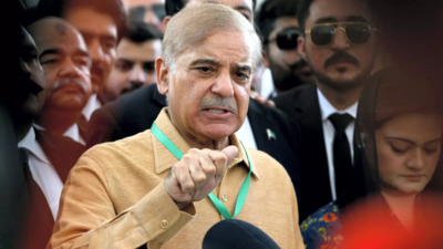 Pakistans Prime Minister Shehbaz Sharif
