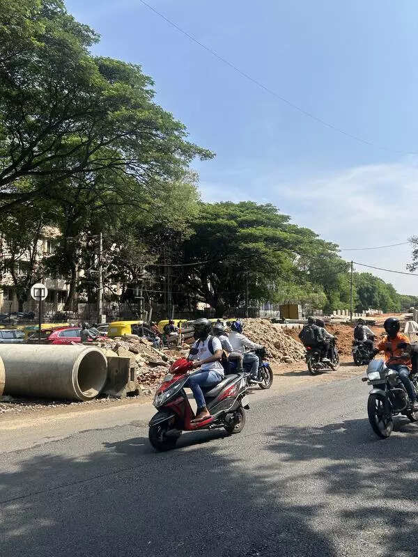 msid 121194905imgsize 98934.cms