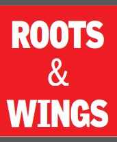 ‘We have commodified nature & are now paying the price’ roots wings
