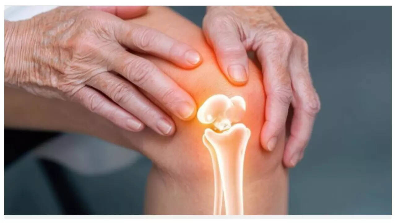 msid 123093603imgsize 24972.cms