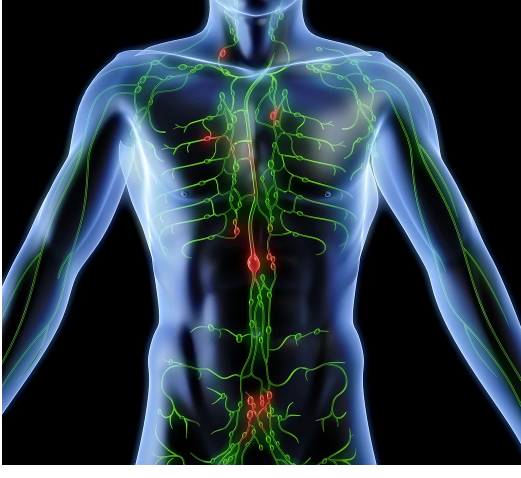 msid 123354935imgsize 436732.cms