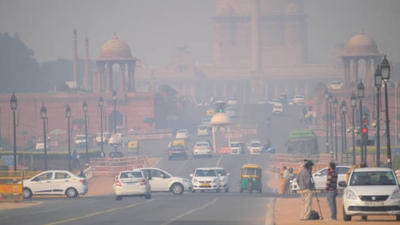 Delhi air pollution alert 2025: Doctors share who is most at risk and how to protect your lungs naturally 1 delhi air pollution alert 2025 doctors share who is most at risk and how to protect your lungs naturally