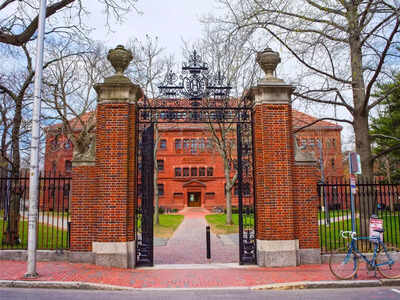harvards diversity in flux black and hispanic enrolment drops as asian american numbers climb