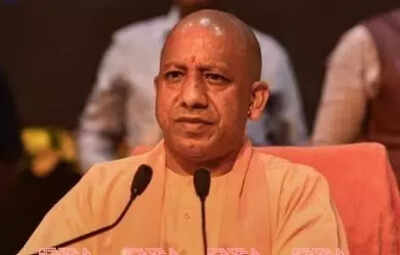 screenshot 2025 10 17 001236