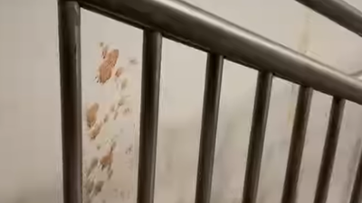 'Kuch toh sharam karlo Bihar walo': Patna metro station filled with gutka stains three days post inauguration; video viral | India News 1 untitled design 22