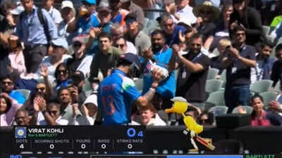 virat kohli adelaide