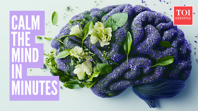 1765992185 photo canva