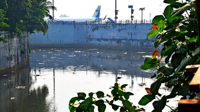 1766119659 ecologists warn of gaps as mithi engineering push ramps up