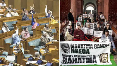 1766145667 unnamed file