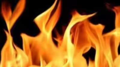 1766410986 image used for representative purpose only