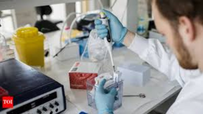 1766456011 representative image