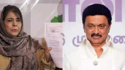 1766765642 untitled design