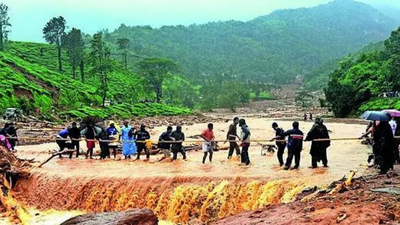 1766812666 untitled design 7