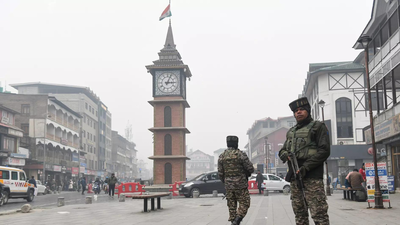 1766860620 untitled design 26