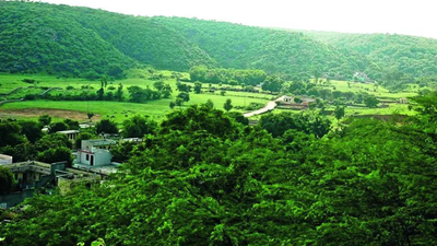 1766879032 untitled design 19