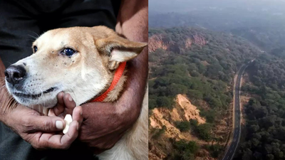 1767021908 image ani