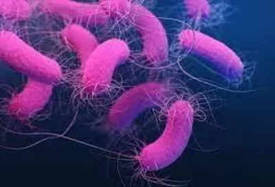 1767029241 unnamed file