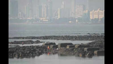 activists in mumbai detained during protest over marathi schools