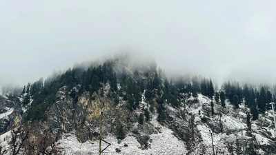 avalanche warning pti