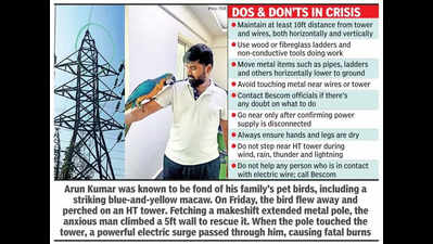 bengaluru man electrocuted while trying to rescue pet bird perched on electricity tower