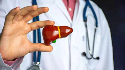 can humans survive with only 20 30 of their liver understanding the regenerative power risks and tips to manage