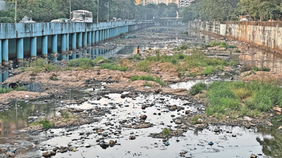candidates in mumbai39s r north ward face challenges including depleted mangrove cover and a polluted river alongside issues of poor walkability and delayed hospital inauguration