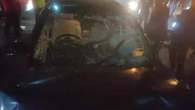 car knocks down karnataka high court advocate