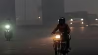 cold wave and fog tighten their grip in festive season