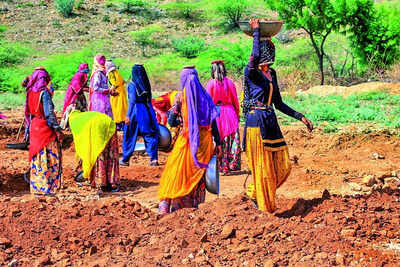 govt 8 families got 100 days of work under nrega in last 3 fys