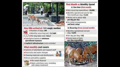 how much does daily care for a stray dog cost greater bengaluru authority pegs it at rs 111