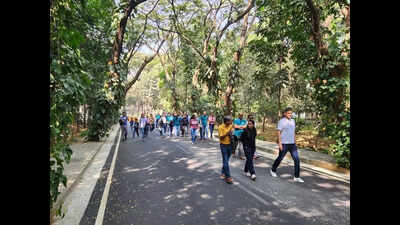 iimbs y2k batch rediscovers love for campus trees