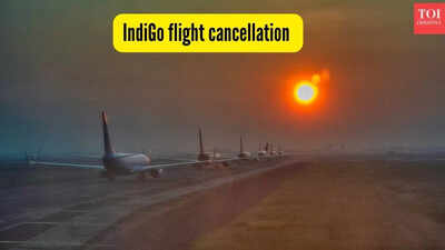 indigo flight cancellation status december 18
