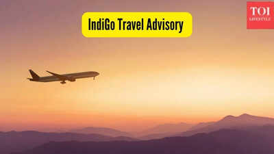 indigo travel advisory