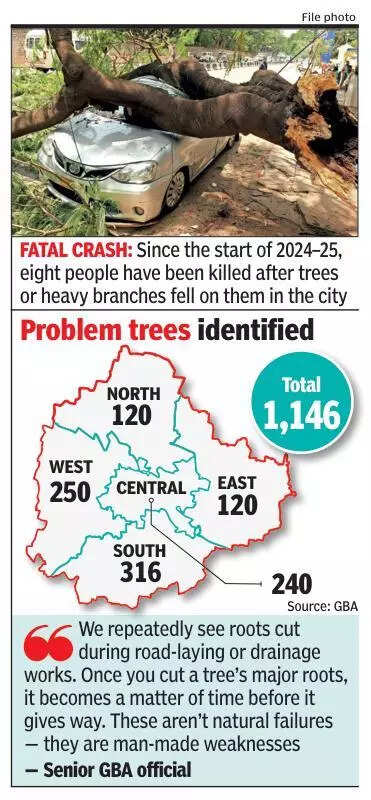 msid 125843292imgsize 57614.cms