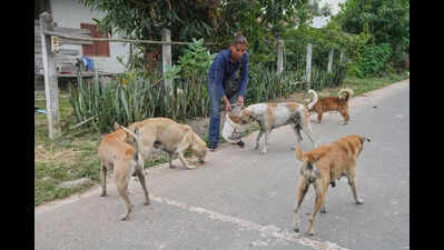 mumbai activists say they will form animal lovers party if cruelty does not end