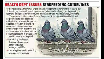 pigeon peril in bengaluru dk shivakumar denies health risk doctors flag cases in city