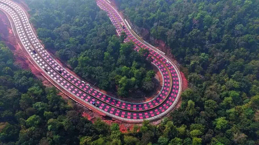 the red marked stretch is meant to slow vehicles gradually well before they reach the points where animals are most likely to emerge