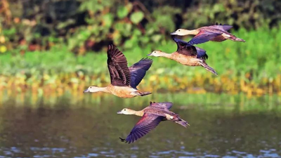 1767733741 representative image