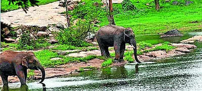 aravali like row in bluru sc panel set to visit today