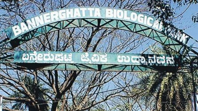 bannerghatta national park bengalurus ecological backyard and home to rich biodiversity