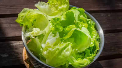 how to store lettuce in the fridge so it stays fresh crisp and green