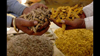 karnataka39s rural food startups under the pmfme scheme face a loan roadblock in 2025 26 due to mandatory pollution control certificates