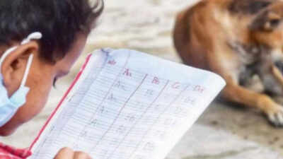 who guards the school gate the stray dog row that put teachers on the hook here39s why they39re pushing back